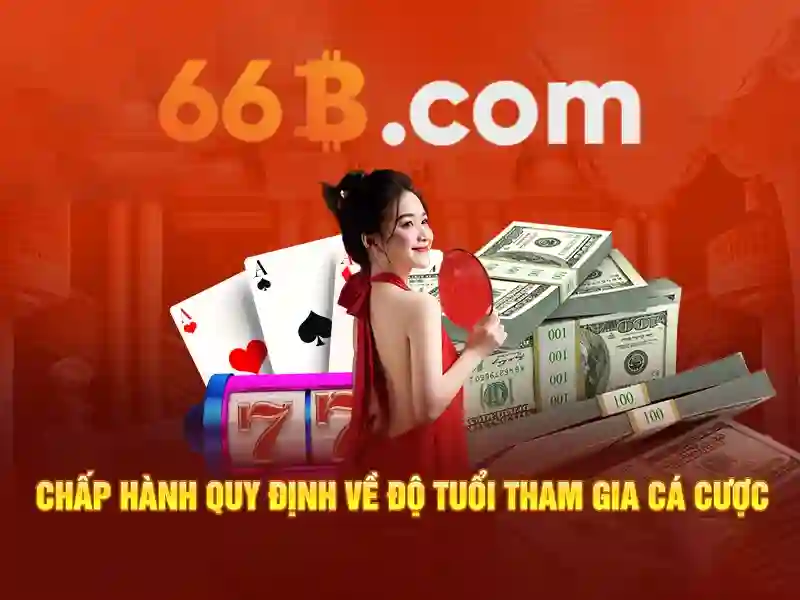 66b là gì và triển khai thực tiễn