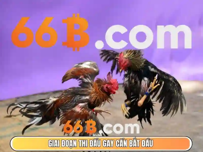 trường con 66b nguyễn sỹ sách – hành trình đổi mới giáo dục và cộng đồng