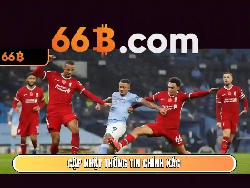 Giấy phép hoạt động hợp pháp và chứng chỉ bảo mật của 66b