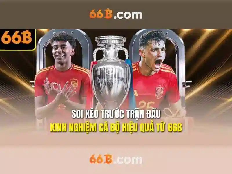 66b – một mô hình AI tiên tiến và tối ưu cho nền tảng đa nền tảng