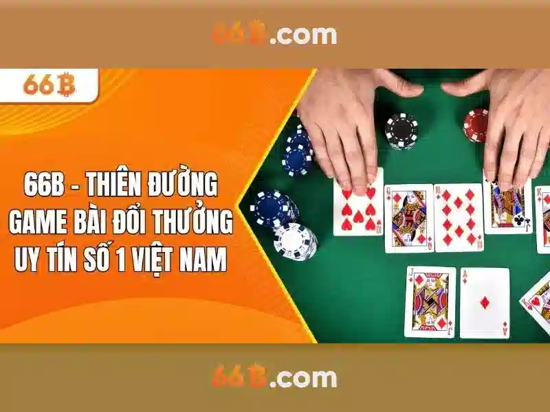 66B: Giới thiệu và ứng dụng