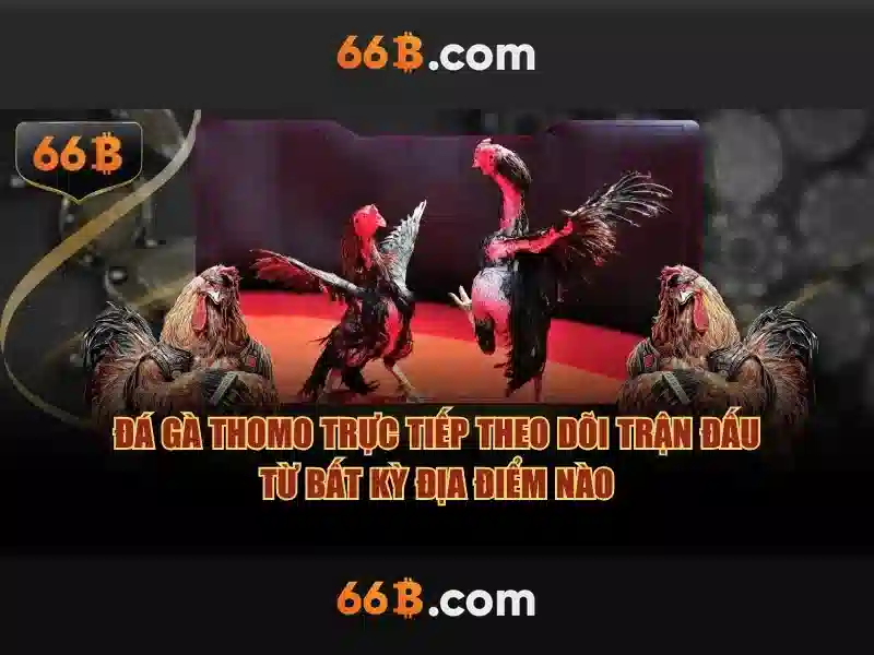 66b: một khái niệm và câu chuyện đằng sau nó