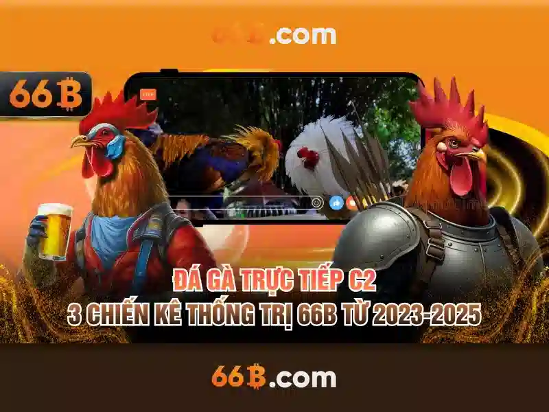 66b: một cái nhìn tổng quan và tiềm năng