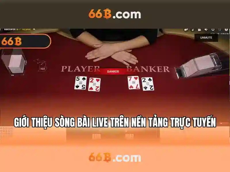 lộc quán 66b đặng tiến đông – Tổng quan và trải nghiệm