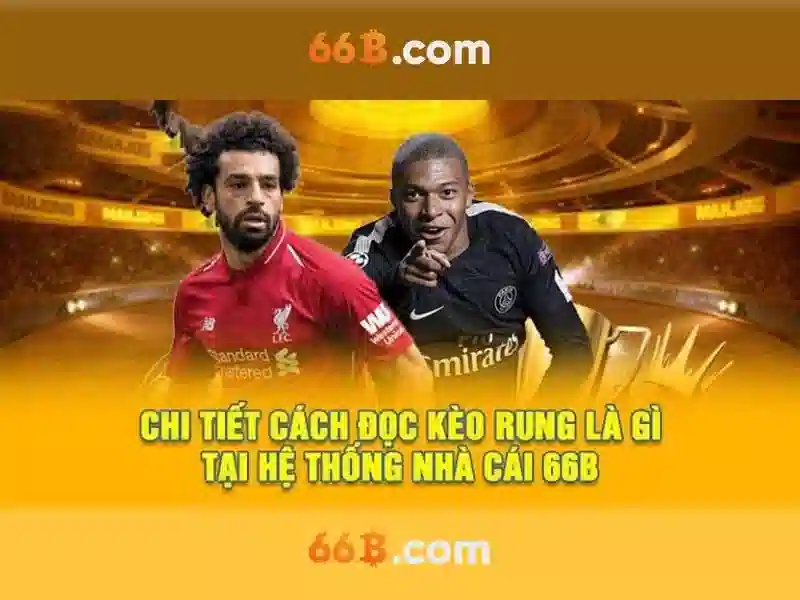 66b: Khái niệm và tầm ảnh hưởng