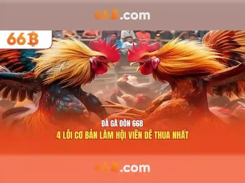 66b: Khái niệm, nguồn gốc và tiềm năng ứng dụng