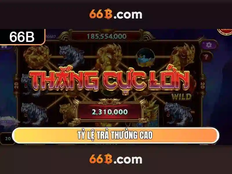 66b: khái niệm, nguồn gốc và ứng dụng