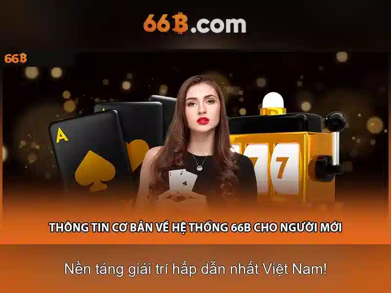 66B: Mô tả, kiến trúc và ứng dụng