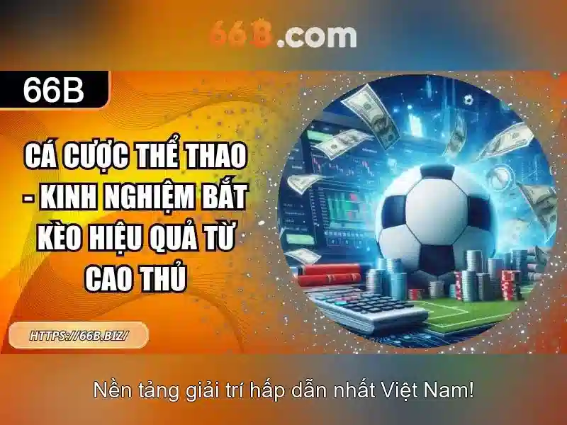 66b là gì và tác động của nó