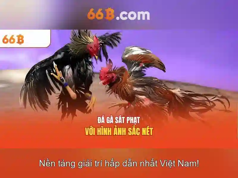 66b là gì? – Hiệu năng, kiến trúc và ứng dụng