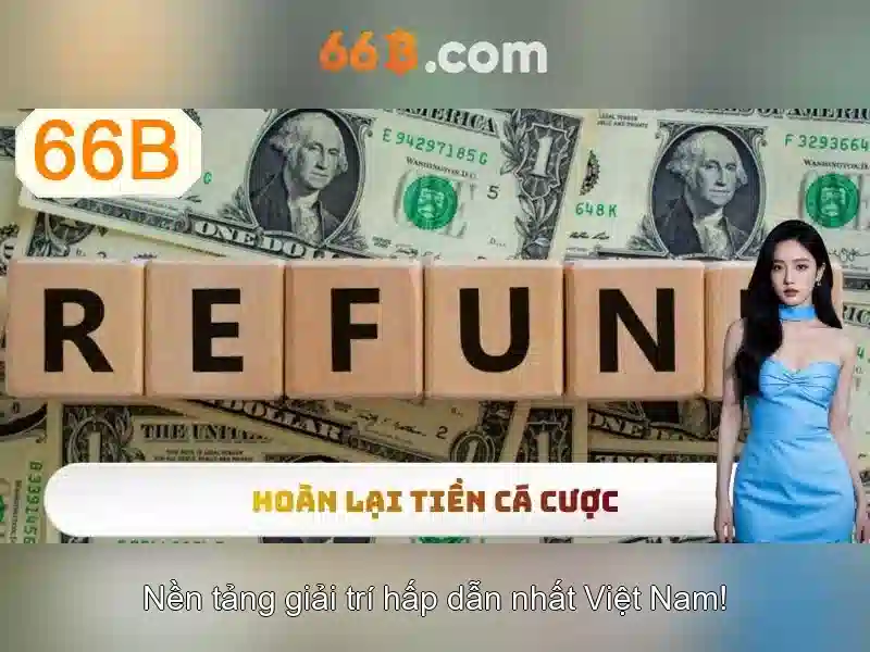 66b: Khái niệm và ảnh hưởng trong văn hóa số