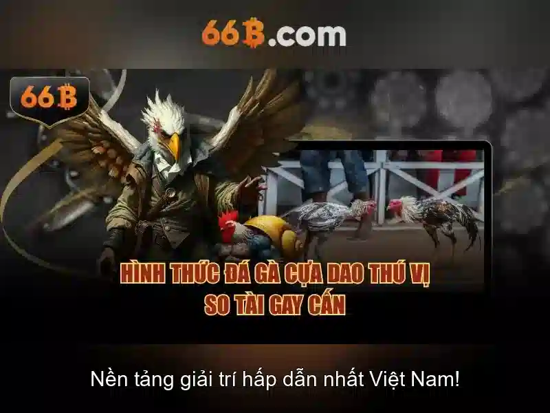 66b: Tổng quan và tiềm năng