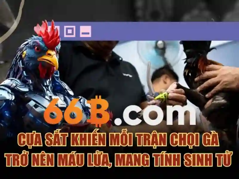 66b hoàn tiền – Trải nghiệm và đánh giá đáng tin cậy