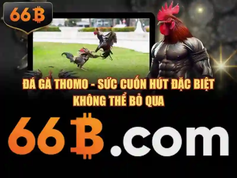 66b an toàn không – Cam kết an toàn và trải nghiệm đỉnh cao