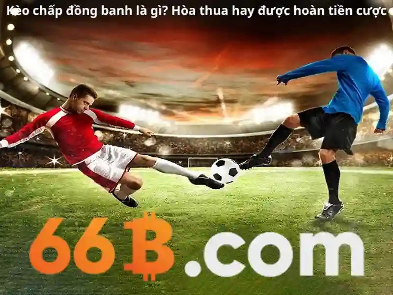66b: Mô hình ngôn ngữ quy mô lớn 66 tỷ tham số