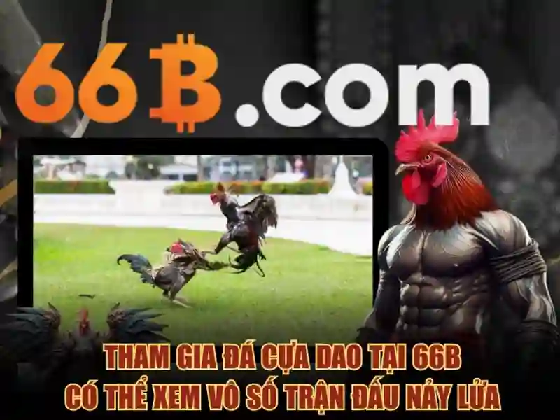 66b nguyễn sỹ sách p15 tân bình trường con – Tầm nhìn và trải nghiệm