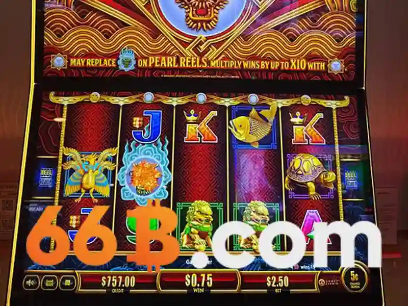 66b vip: Trải nghiệm và đánh giá nổi bật