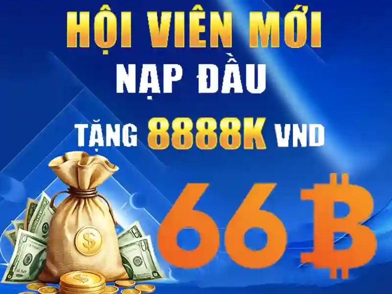 66b nguyễn chí sách phường 15 tân bình – hành trình và trải nghiệm