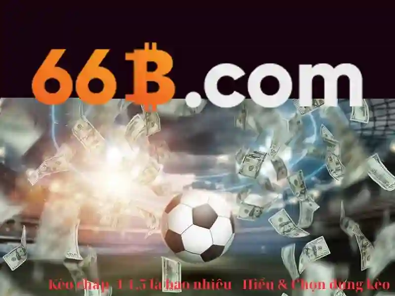 tai 66b: Dẫn đường trải nghiệm số và đột phá thương hiệu